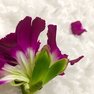 Meet your Posher, Michaela